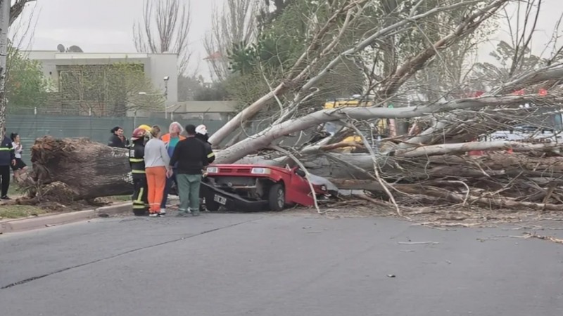 El viento Zonda dejó como saldo una persona muerta en Maipú
